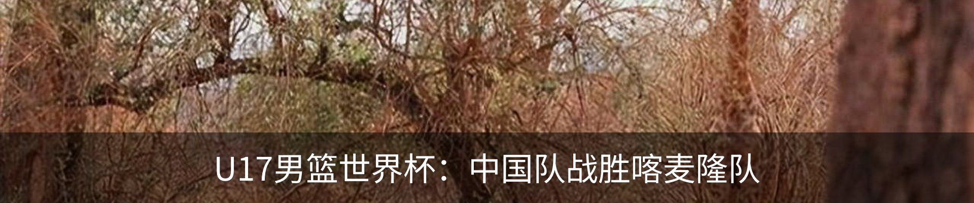 内页banner
